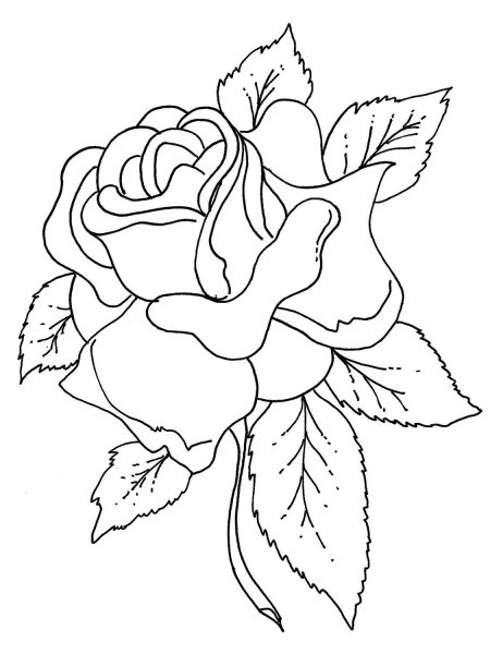 Цветы для выжигания