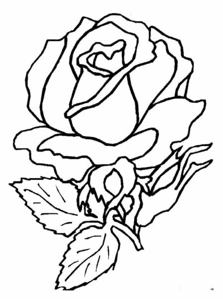 Трафареты цветов для вышивки гладью