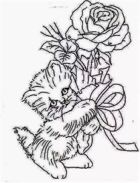 Роза для выжигания