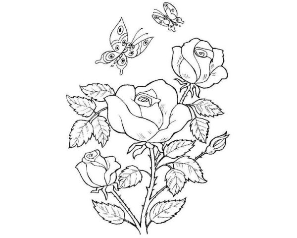 Детские раскраски розы