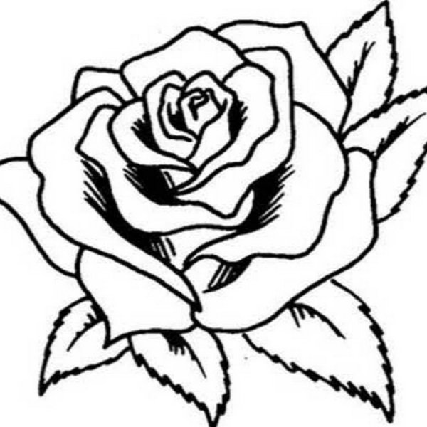 Трафарет цветов для выжигания