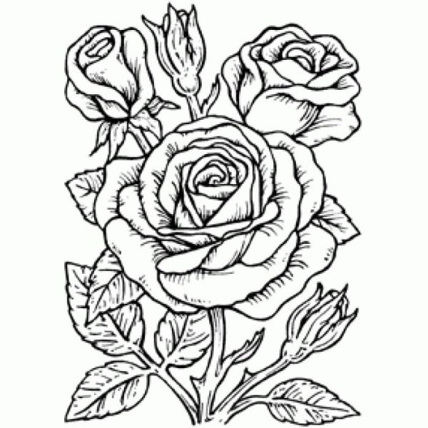 Рисунки для выжигания