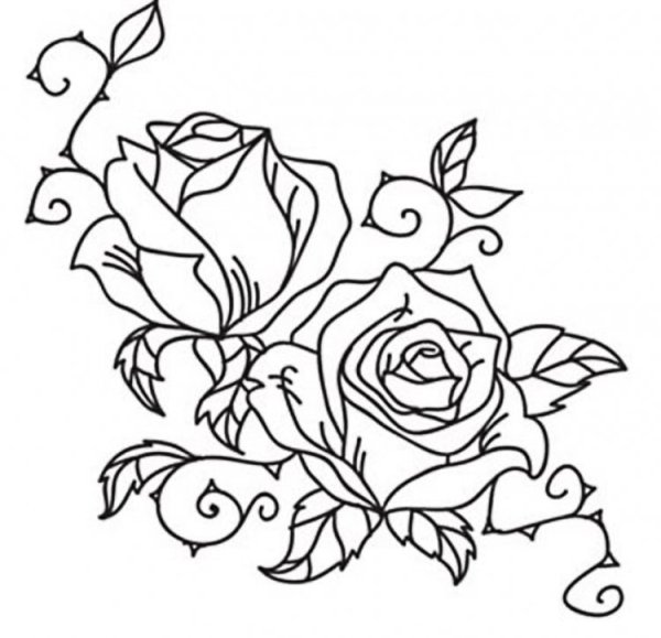 Цветы для срисовки розы