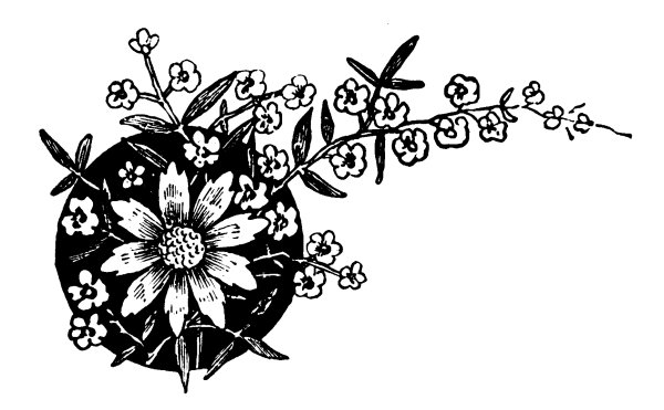 Картинки для выжигания по дереву цветы легкие для детей