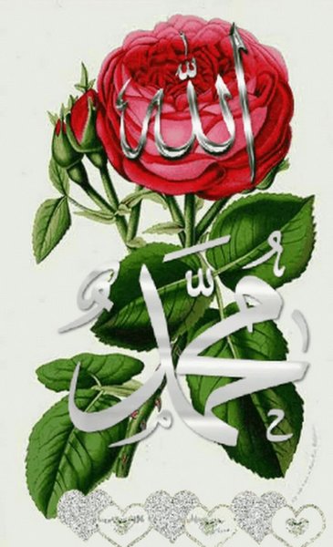 Самые красивые цветочки мусульманские