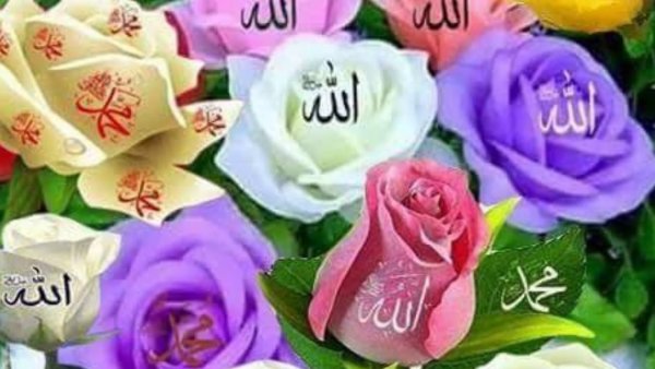 Розы с именем Аллаха