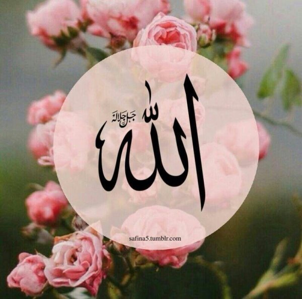 Аллах надпись цветами