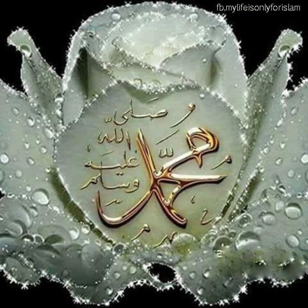 Розы с надписью Аллах