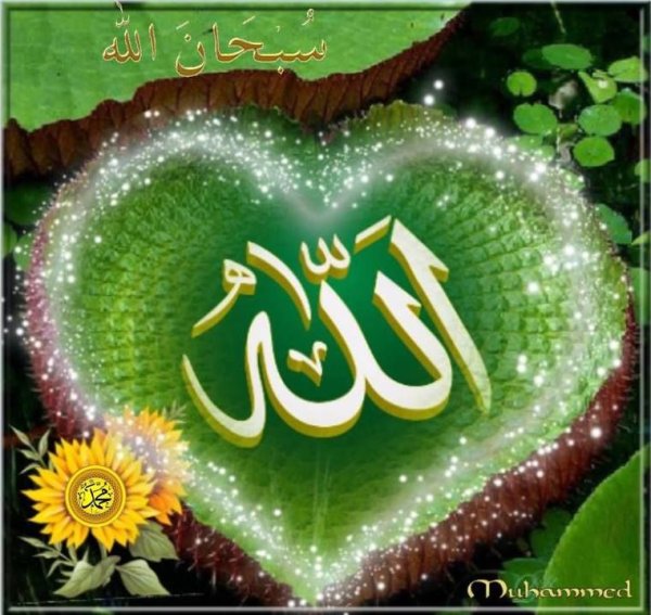 Красивые картины с именами Аллаха