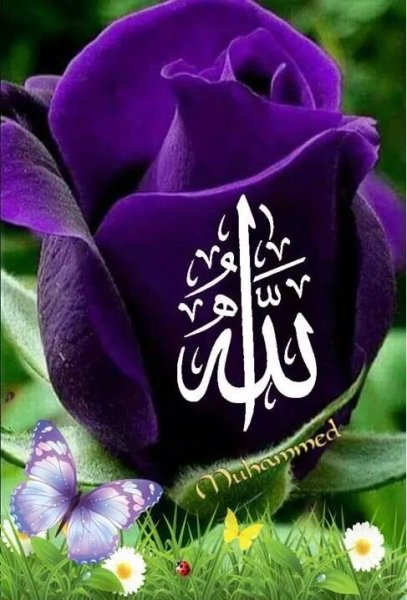 Цветы в Исламе
