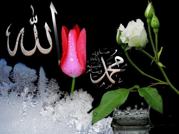 Мусульманин с цветком