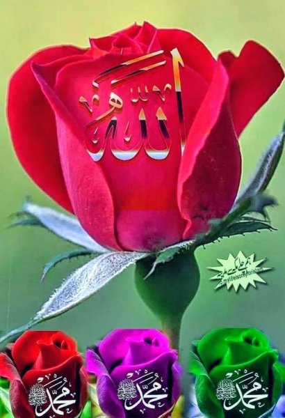 Надписи с именем Аллаха