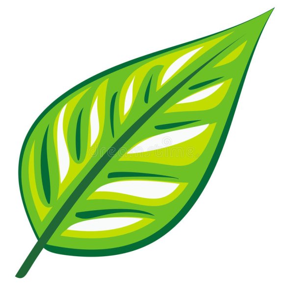 Зеленые листья для вырезания
