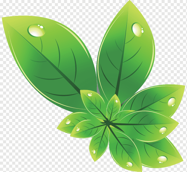 Ластик зеленый