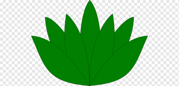 Листочки для цветов