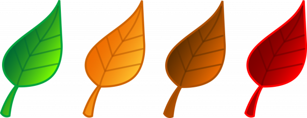 Лист мультяшный