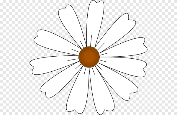 Ромашка раскраска для детей