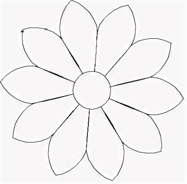 Цветок ромашка раскраска: подборка картинок