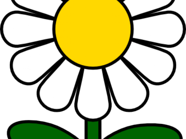 Трафарет цветка 5 лепестков