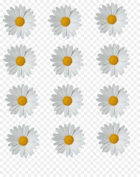 Цветок с семью лепестками