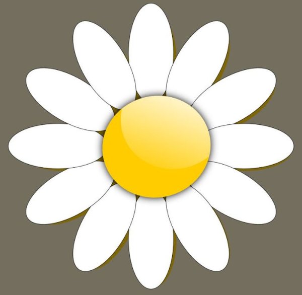 Трафареты цветов для детей