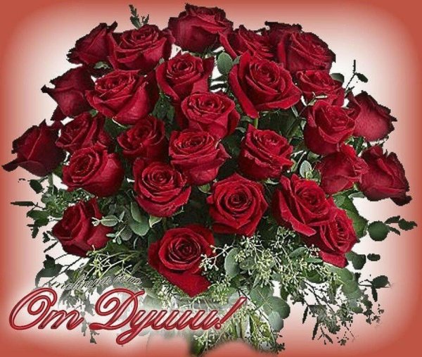 С днем рождения бордовые розы