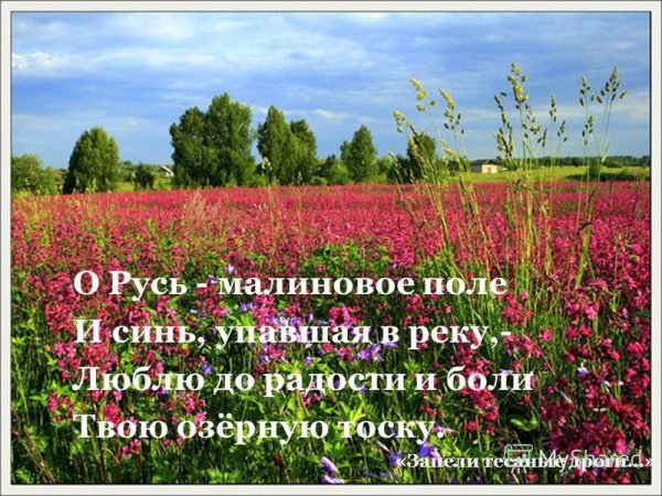 Сергей Есенин о Русь малиновое поле