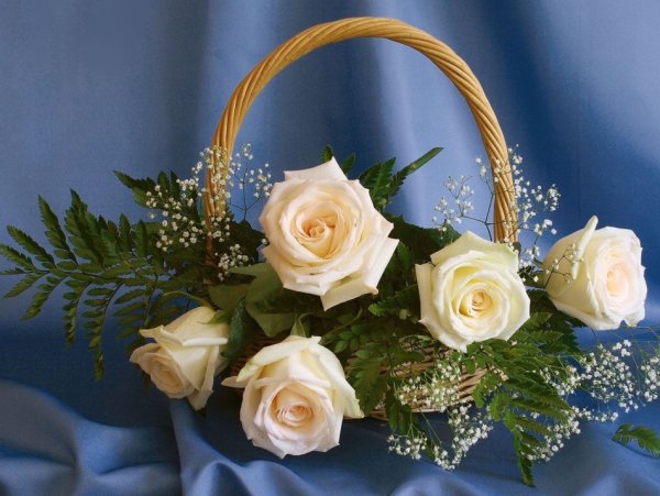 Роза кустовая персиковая