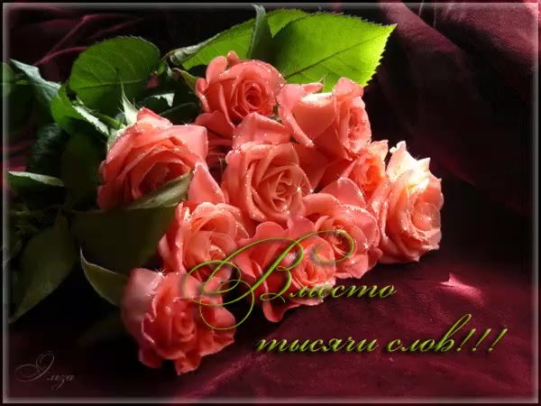 Букет роз с днем рождения