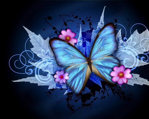 Фон бабочки
