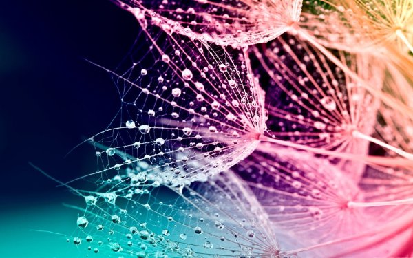 Открытка с цветами и бабочками