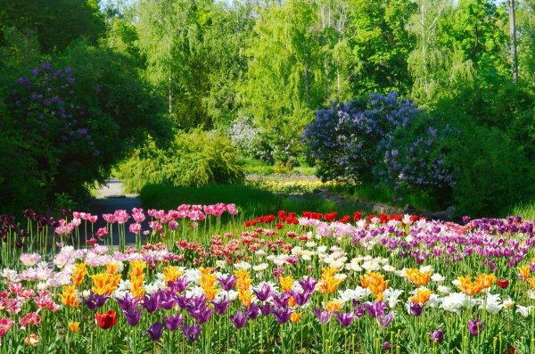 Ботанический сад Запорожье