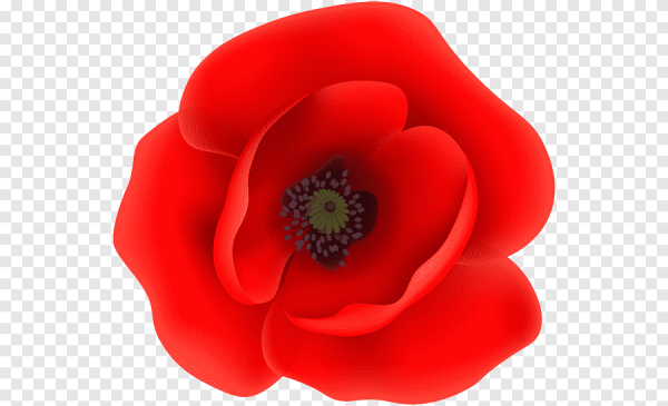 Эмблема Мак