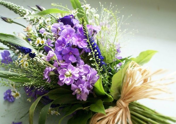 Нежные тюльпаны