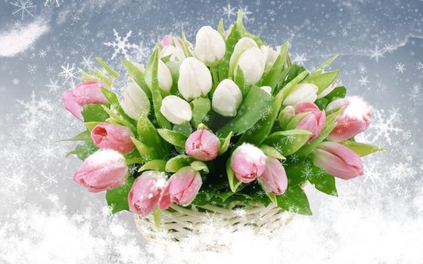 С днем рождения весной