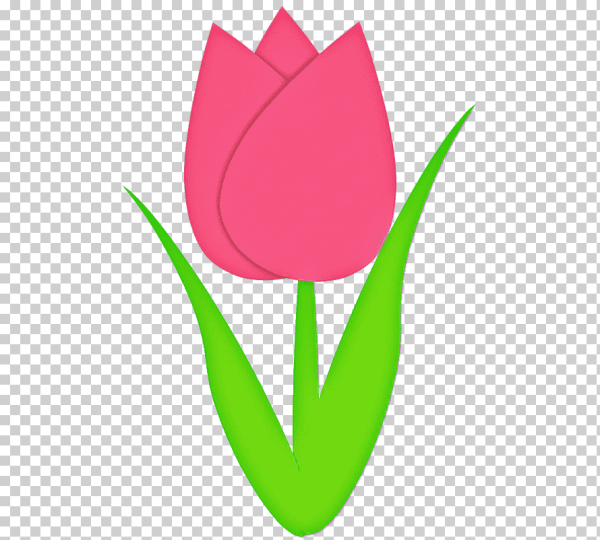Тюльпаны для вырезания