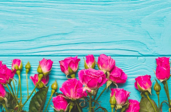 Цветы на бирюзовом фоне