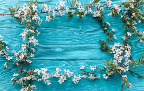 Бирюзовый фон с цветочками