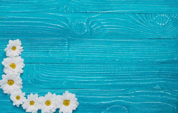 Фотофон голубой с цветами