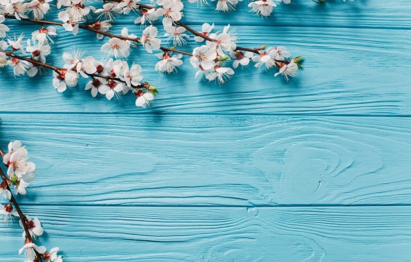 Деньги на бирюзовом фоне