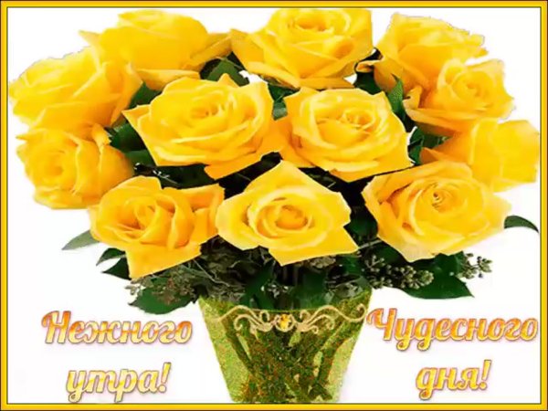 Доброе утро желтые розы