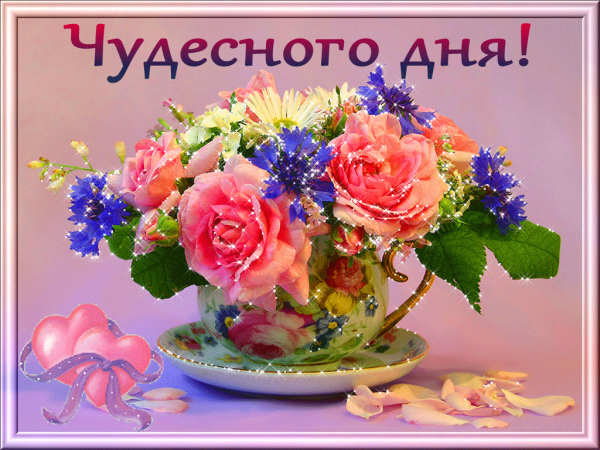 Цветы с добрыми пожеланиями