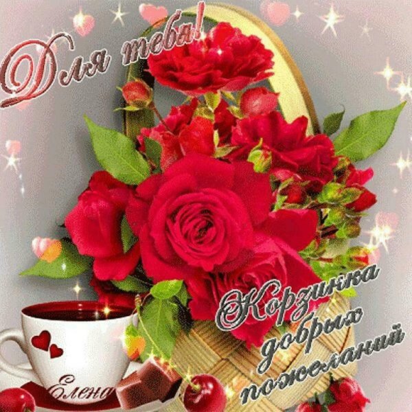 Красивые розы для хорошего настроения