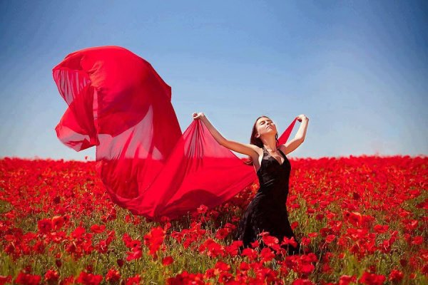 Любовь к себе цветы