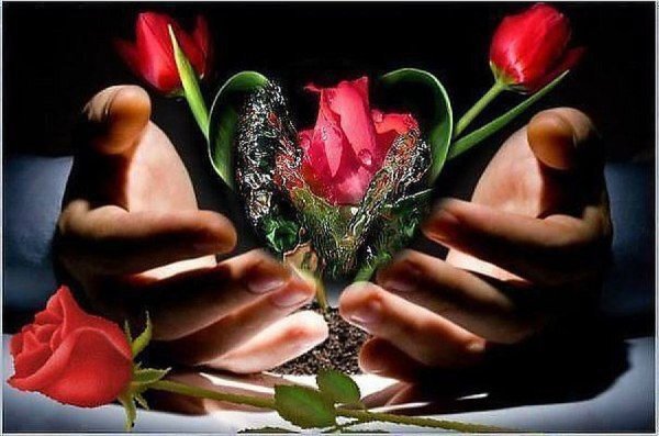 Счастливая пара