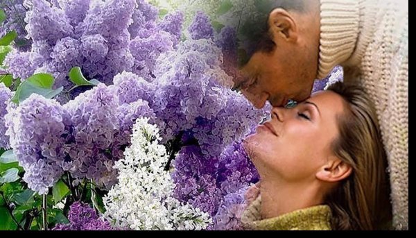 Любовь к природе