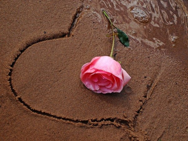 Прощальный стих