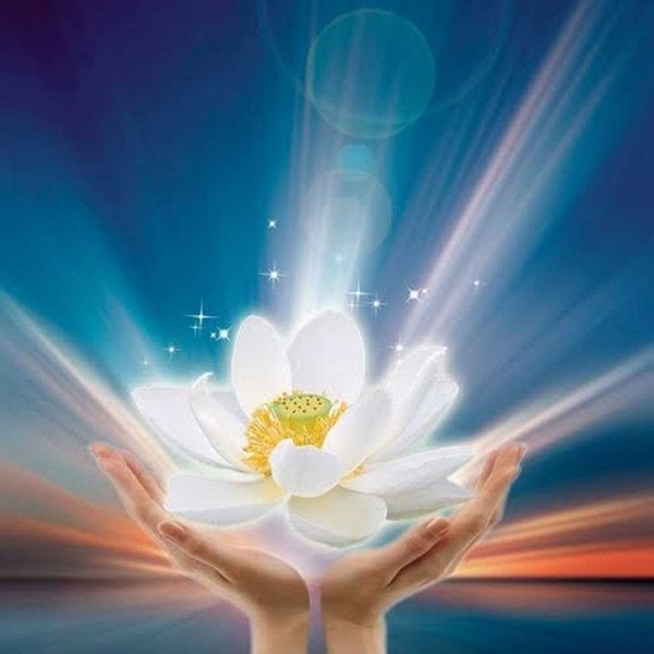 Девушка с ромашками