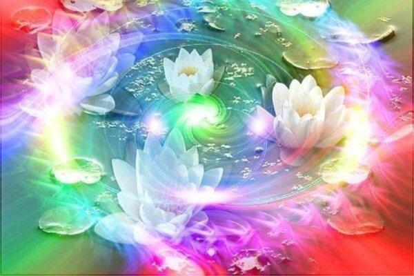 Цветы на аватарку фото