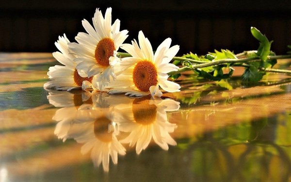 Художник Кирк Рейнерт Kirk Reinert